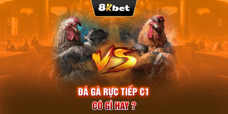 Đá gà rực tiếp c1 có gì hay?