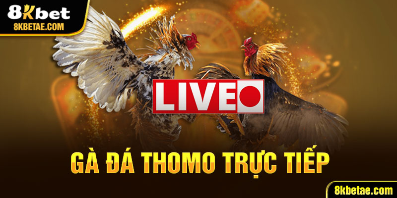 Tổng quan về Đá gà thomo trực tiếp