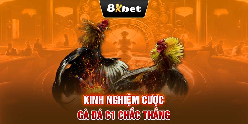 Kinh nghiệm cược gà đá C1 chắc thắng